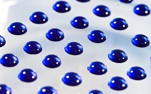 Microbiology Standards