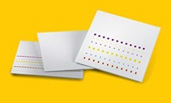 TLC silica gel plates Silica gel TLC plates showing clearly separated colored spots