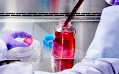 A scientist in a lab coat and gloves pipetting a red liquid into a flask in a laboratory setting. A scientist in a lab coat and gloves pipetting a red liquid into a flask in a laboratory setting.