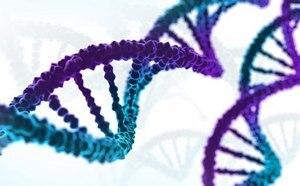 DNA and RNA Purification Colorful strands of DNA.