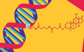 Nucleic Acid Labeling &amp; Detection