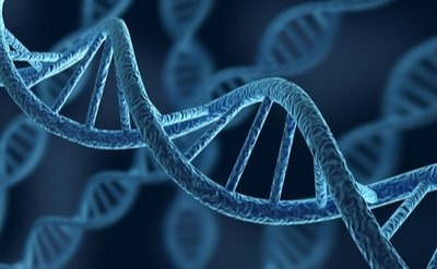 DNA &amp; RNA Purification