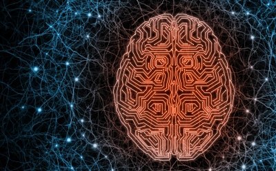 Brain illustrated as electronic chip surrounded by neural system to illustrate combination of state-of-the-art technology with bio-organisms. Brain illustrated as electronic chip surrounded by neural system to illustrate combination of state-of-the-art technology with bio-organisms.