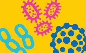 What is a pyrogen?