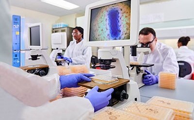 Scientists in a lab analyze samples using microscopes. The setting is modern and busy, and a colorful cell image on a monitor. Scientists in a lab analyze samples using microscopes. The setting is modern and busy, and a colorful cell image on a monitor.