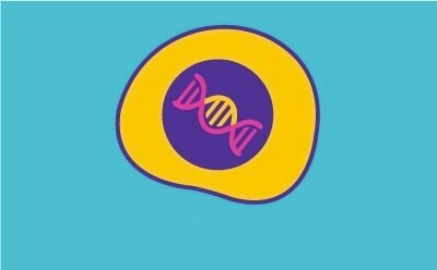 Cell Line Development Upstream cell line processes