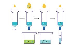Protein Affinity Chromatography The image depicts a scientific process involving three pipettes at the top, each filled with blue liquid. Below the pipettes, there are beakers containing green liquid with suspended particles. Adjacent to the beakers is a graduated cylinder holding blue liquid. This likely represents a laboratory procedure related to protein purification.
