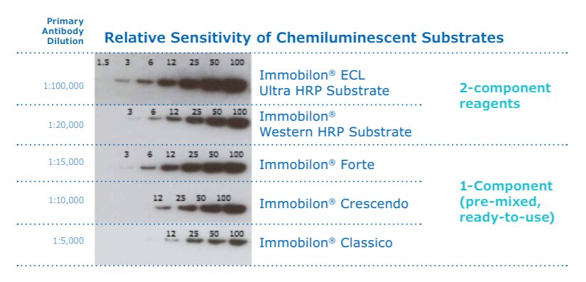 Sensibilidades de los sustratos quimioluminiscentes Immobilon® para la inmunoelectrotransferencia