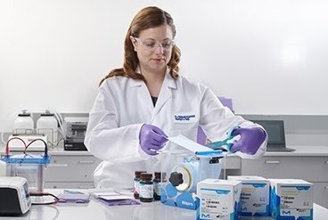 Laboratorio de inmunoelectrotransferencia. Técnica de transferencia Western para la detección de proteínas