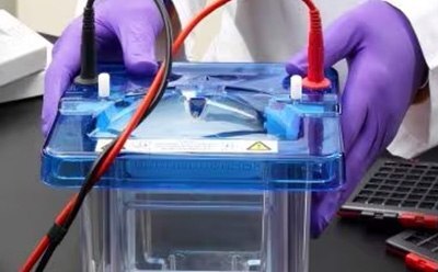 Protein gel electrophoresis. Gel electrophoresis chamber for running protein gels