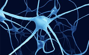 Nerve cells An intricate illustration of neurons, depicted in light blue against a dark blue background, highlighting the complex communication system of the brain with branching dendrites and interconnected neuron bodies.