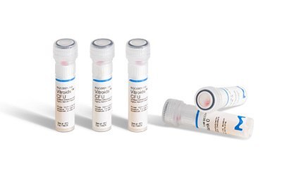 Vitroids™ and LENTICULE® discs are packed individually in vials. Vitroids™ and LENTICULE® discs are packed inside a vial. The vials have a special screw cap with a seal and contain a desiccant at the bottom.