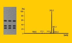TLC plates and Mass spectrum Well-separated spots/bands on a TLC plate and mass spectrum of the separated spots