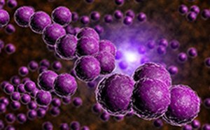 The image features a cluster of purple spherical structures against a dark backdrop, illuminated from the center, creating a three-dimensional effect.