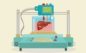 Illustration showing process of creating human heart layer for layer with bioink using 3D printer