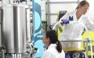 Bioprocessing Cell Culture Media
