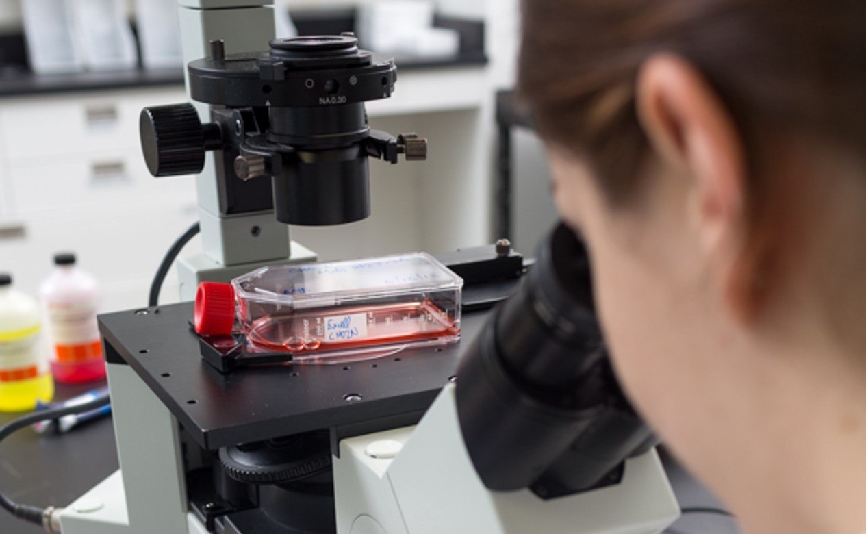 Bioprocessing Cell Line Graphic of recombinant platform featuring CHOZN® GS / CHO cell line and UCOE® expression technology