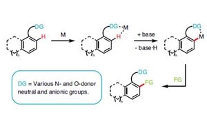 Catalysts schematic workflow