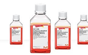 Four laboratory bottles containing red liquid, progressively increasing in size from left to right aligned horizontally against a white background.