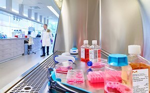 A laboratory scene showing a scientist in a white lab coat standing in the background. In the foreground, various laboratory equipment and containers with pink liquid are arranged on a stainless steel surface. The lab is well-lit, with modern furnishings and equipment visible in the background.