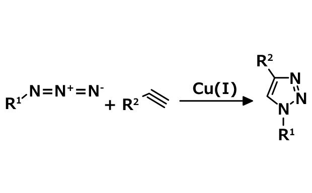 En este esquema de ejemplo de qu&iacute;mica clic se muestra la cicloadici&oacute;n azida-alquino catalizada por cobre(I) (CuAAC) de alquinos a azidas para formar 1,2,3-triazoles 1,4 disustituidos