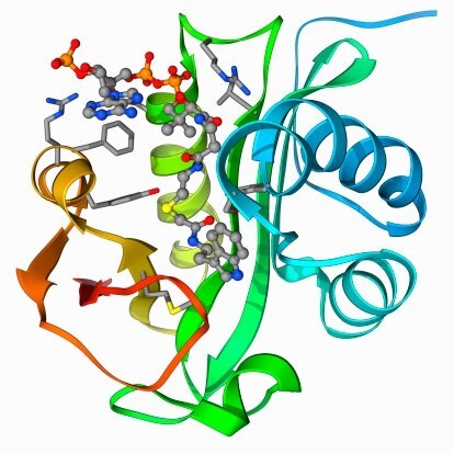 This vibrant image captures the complex tertiary structure of a protein molecule, highlighted by a spectrum of colors that distinguish its helices, sheets, and side chains.