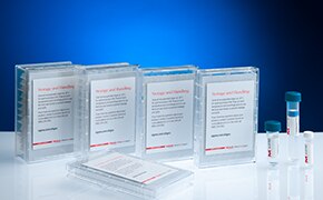 Custom and predesigned DNA oligos and qPCR probes