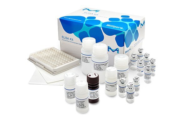 ELISA Kits and Reagents ELISA Kits and Reagents