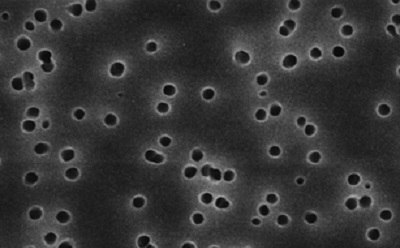 Polycarbonate membrane filter Scanning electron microscope image of a polycarbonate membrane