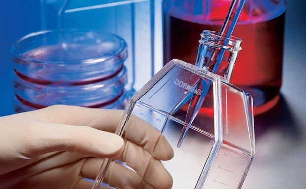 Corning® Products & Labware