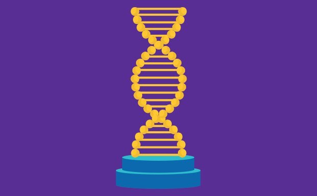 Endonuclease enzymes