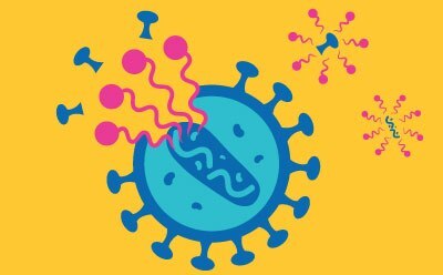 An illustration of a virus depicted in a stylized manner. The virus is shown as a large blue circle with a lighter blue inner section, surrounded by spiky protrusions. Colorful pink and purple shapes, representing viral particles or proteins, are shown emanating from the virus against a bright yellow background. An illustration of a virus depicted in a stylized manner. The virus is shown as a large blue circle with a lighter blue inner section, surrounded by spiky protrusions. Colorful pink and purple shapes, representing viral particles or proteins, are shown emanating from the virus against a bright yellow background.
