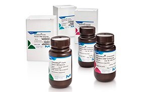 Immobilon® Forte, Crescendo, and Classico Chemiluminscent Western Blotting Substrates