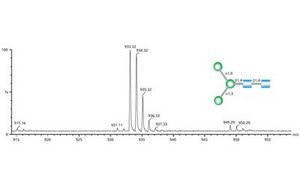 Mass spectrometry spectrum Mass Spectrometry spectrum