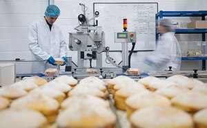 Safe Food Manufacturing Various fruits, vegetables, nuts, beans, and berries in bowls