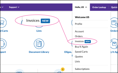 Account Menu Dropdown Order Lookup Link