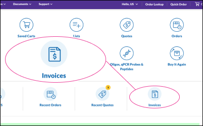 Invoice Center Access Points RCHP View of Order Lookup form