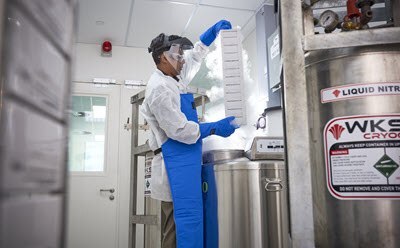 Cell & Virus Banking and Storage