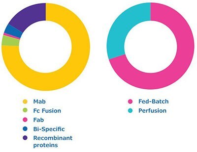 Benefit from our three decades of experience with a variety of biomolecules, demonstrated in 260+ projects delivered