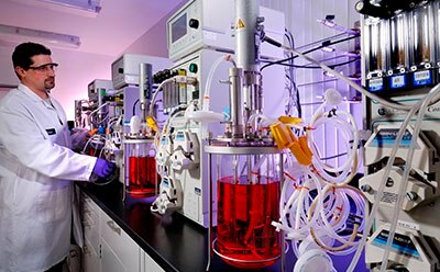 Media development services Scientist working with liquid cell culture media