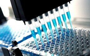Automated Quality and Regulatory Automated Quality and Regulatory