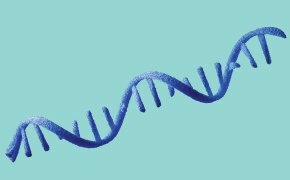 mRNA QC分析試験