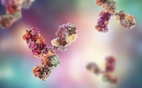 Pruebas de bioseguridad seg&uacute;n las GMP para la liberaci&oacute;n de los AcM producidos