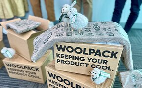 Cooler insulation made of wool