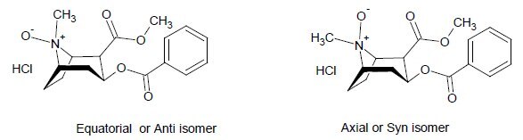 Equatorial or Anti isomer and Axial or Syn isomer