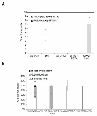  The in vitro assay reveals kinase sensitivity. (A) The recombinant PDK and CPK3 phosphorylate respective cognate substrate peptide in cocktail. (B) Oxidation of Met293 inhibits phosphorylation of Ser292 in the peptide substrate YHGHSMSDPGSTYR. All values are means ± std of four repeats.