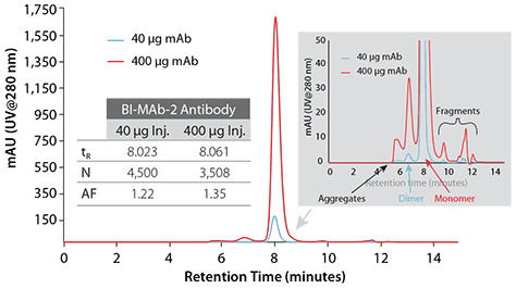 Loading Capacity of Monoclonal Antibody
