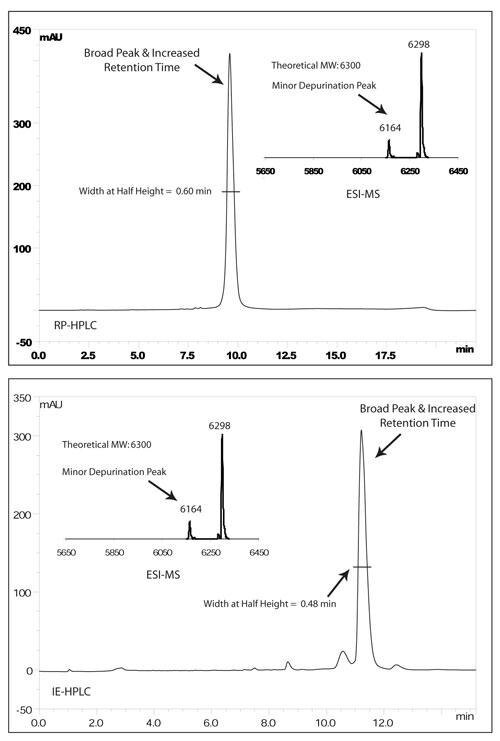 s10a-rp-hplc s10a-rp-hplc