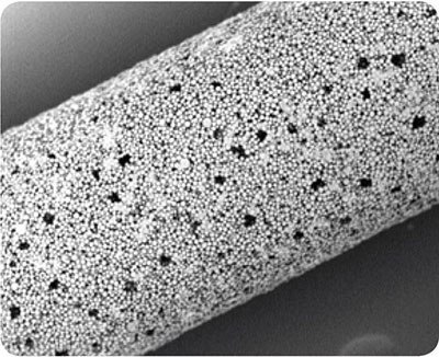 SPME fiber with Carboxen® 1006.