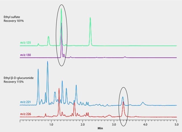 LC/MS Analysis of Ethanol Metabolites in Urine on Ascentis® Express OH5 after Dilution with Deuterated Internal Standards LC/MS Analysis of Ethanol Metabolites in Urine on Ascentis® Express OH5 after Dilution with Deuterated Internal Standards